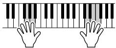 YAMAHA ARIUS YDP-V240 - Nutzen Sie den Spielassistenten und spielten Sie wie ein Profi! - 2