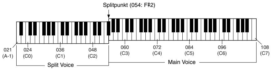 YAMAHA ARIUS YDP-V240 - Einstellen des Split-Punkts - 1