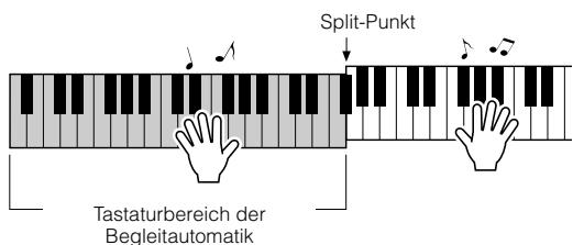 YAMAHA ARIUS YDP-V240 - Spieler Sie mit der linken Hand einige Akkorde und mit der rechten Hand eine Melodie. - 1