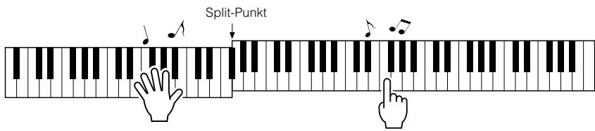 YAMAHA ARIUS YDP-V240 - Drucken Sie die [START/STOP]-Taste. Der Song wird abgespielt, während der Text u - 8