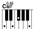 YAMAHA ARIUS YDP-V240 - Standardakkorde. - 6