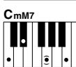 YAMAHA ARIUS YDP-V240 - Standardakkorde. - 19