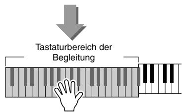 YAMAHA ARIUS YDP-V240 - Drücken Sie, nachdem Sie die [STYLE]-Taste gedrückt haben, die Taste [ACMP ON/OFF], um die Begleitautomatik einzuschalten. - 3