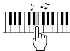 YAMAHA ARIUS YDP-V240 - ■ Spielassistenten-Technik Seite 39 - 1