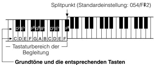 YAMAHA ARIUS YDP-V240 - Akkorde der Begleitautomatik speiten - 1