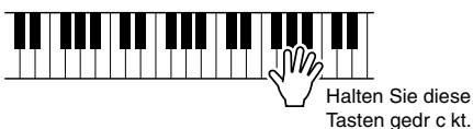 YAMAHA ARIUS YDP-V240 - So erzeugen Sie die einzelnen Harmony-Typen - 2