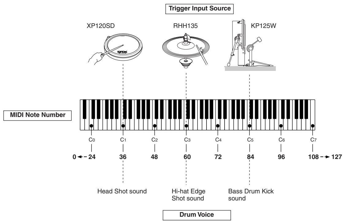 YAMAHA DTX-900 - ■ Drum Voices and MIDI note numbers - 1