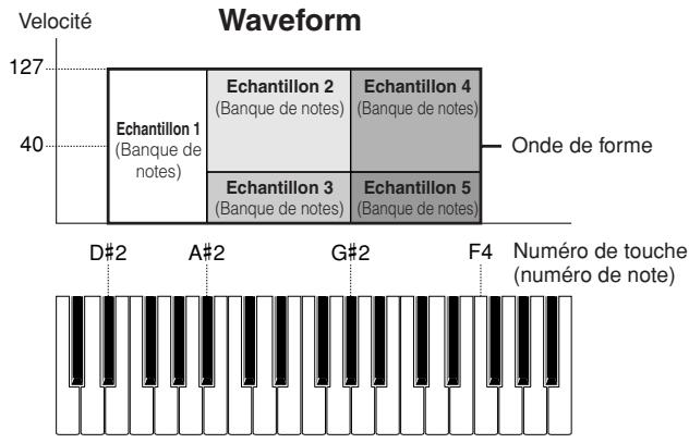 YAMAHA MOTIF XS7 - Échantillon, banque de notes et forme d'onde - 1