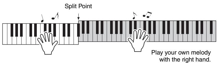 YAMAHA NP-V80 - NOTE - 2