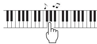 YAMAHA NP-V80 - Pitch Bend - 2
