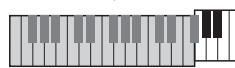 YAMAHA NP-V80 - SYNC STOP - 3