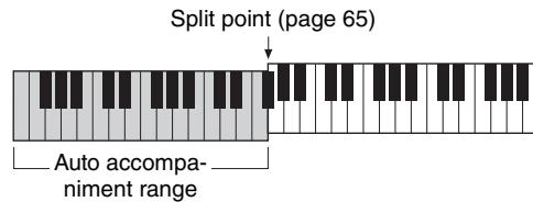 YAMAHA NP-V80 - When automatic accompaniment is on ... - 1