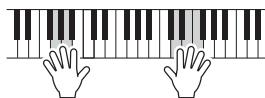 YAMAHA NP-V80 - NOTE - 3