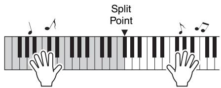 YAMAHA NP-V80 - Play the chords with your left hand and melody with your right. - 1