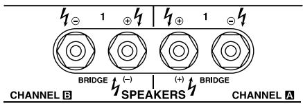 1 BRIDGE (-) SPEAKERS (+) BRIDGE CHANNEL B CHANNEL A