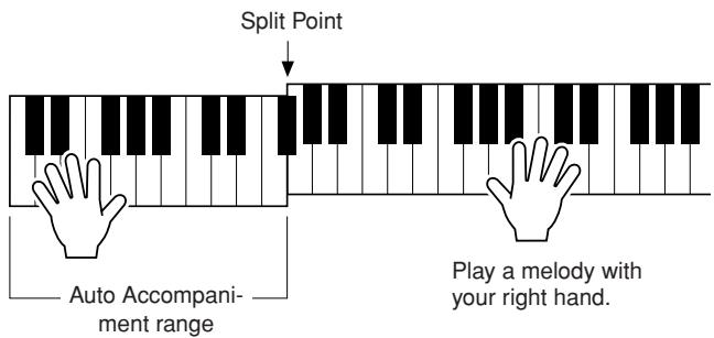 YAMAHA PSR-E323 - Play with a Style - 2