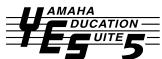 YAMAHA PSR-E323 - Formats and functions - 5