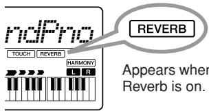 YAMAHA PSR-E323 - To add Reverb - 2