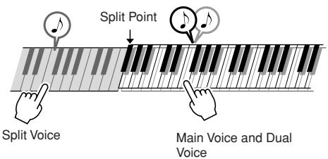 YAMAHA PSR-E323 - Playing Different Voices with the Left and Right Hands—Split - 1