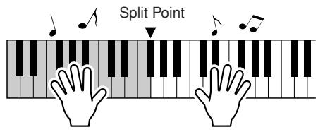 YAMAHA PSR-E323 - Play the chords with your left hand and melody with your right. - 1
