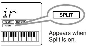 YAMAHA PSR-E323 - Play the Split Voice - 2