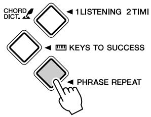 YAMAHA PSR-E323 - Phrase Repeat - 2
