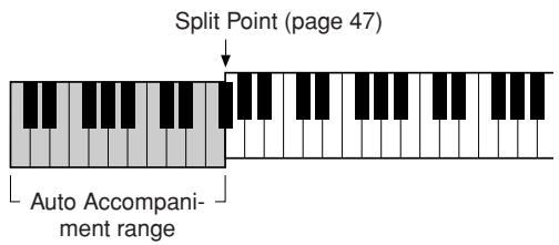 YAMAHA PSR-E323 - ● When auto accompaniment is on ... - 1