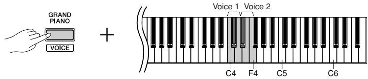 YAMAHA YNP-25 - Setting the Octave - 1
