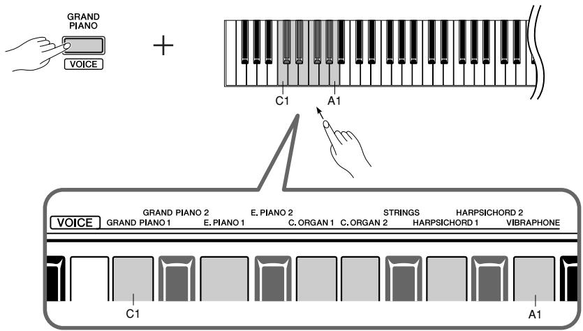 YAMAHA YNP-25 - While holding down the [GRAND PIANO] button, press one of the C1-A1 keys to select a voice. - 1