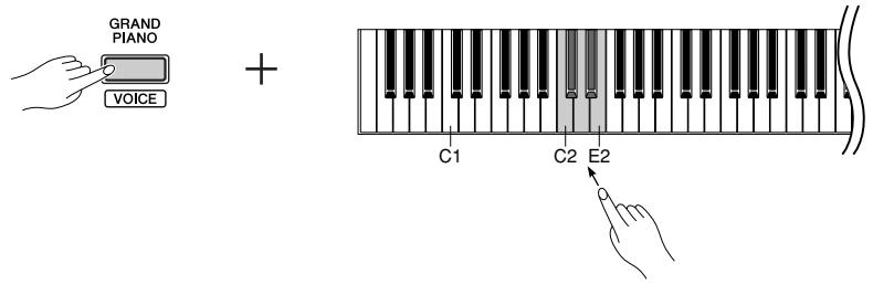 YAMAHA YNP-25 - Selecting a Reverb Type - 1