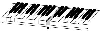 YAMAHA DISKLAVIER E3 CLASSIC - Appuyez sur [PLAY]. - 2