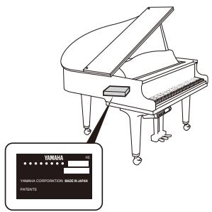 YAMAHA DISKLAVIER E3 CLASSIC - SPECIALMESSAGESECTION - 3