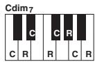 YAMAHA PSR-S750 - Lorsque la note fondamentale source est c : - 19