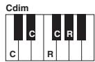YAMAHA PSR-S750 - Lorsque la note fondamentale source est c : - 18