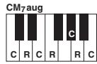 YAMAHA PSR-S750 - Lorsque la note fondamentale source est c : - 29