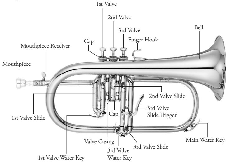 YAMAHA TRUMPETS - Caution - 10