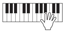 YAMAHA TYROS 4 - Utilisation de la molette de variation de ton - 2