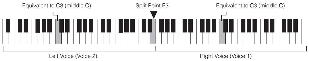 YAMAHA YDP-S51 - While holding down [PIANO/VOICE], press [+R] and [-L] simultaneously to engage Duo. - 2