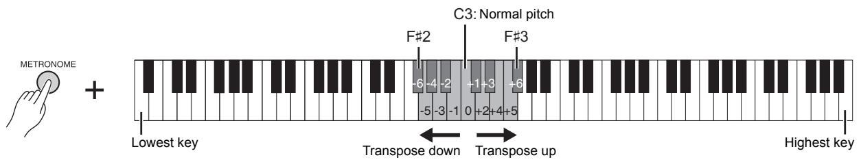 YAMAHA F02 - Transposing the Pitch in Semitones - 1
