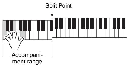 YAMAHA PSR-E243/YPT-240 - Play a chord with your left hand to start playback of the Intro. - 1