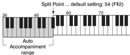 YAMAHA PSR-E243/YPT-240 - Sustain - 3
