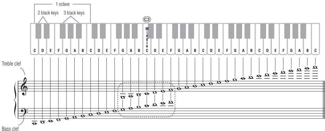 YAMAHA PSR-E343/YPT-340 - Reading the Score - 1