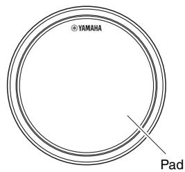 YAMAHA TP70 - Package Contents - 1