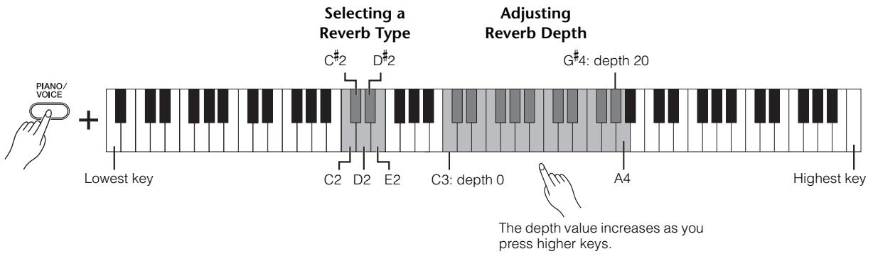 YAMAHA YDP-162/142 - [REVERB] in Dual Mode - 1