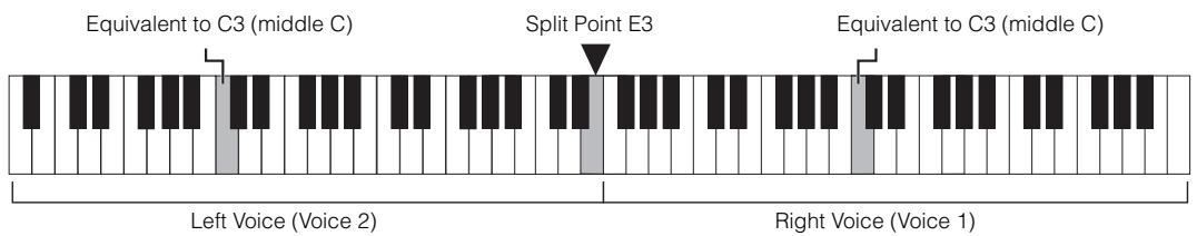 YAMAHA YDP-162/142 - While holding down [PIANO/VOICE], press [+R] and [-L] simultaneously to engage Duo. - 2
