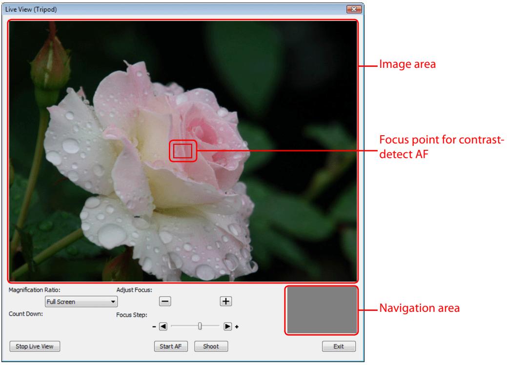 NIKON CAMERA CONTROL PRO 2 - Live View (Tripod) - 1