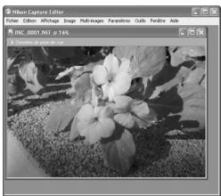 NIKON CAPTURE 4 - Conserver le niveau de zoom lorsque l'échelle change - 1