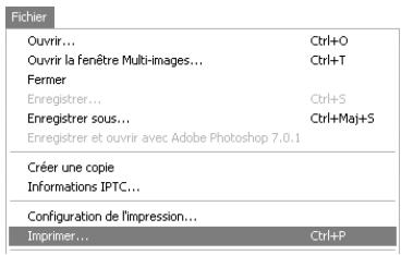 NIKON CAPTURE 4 - Impression de photographies - 2