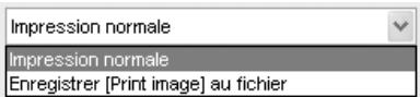 NIKON CAPTURE 4 - Impression normale/Enregistrer [Print image] au fichier - 1