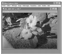 NIKON CAPTURE 4 - Conserver le niveau de zoom lorsque l'échelle change - 3